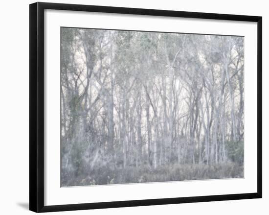 Escalante Trees-Chris Dunker-Framed Giclee Print