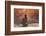 Escale-David Senechal Photographie-Framed Premium Photographic Print