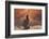 Escale-David Senechal Photographie-Framed Premium Photographic Print