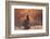 Escale-David Senechal Photographie-Framed Photographic Print