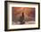 Escale-David Senechal Photographie-Framed Photographic Print