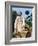 Escape from the Planet of the Apes-null-Framed Photo