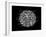 eScape Goat-Steven Wilson-Framed Giclee Print