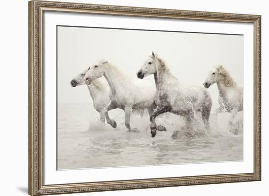 Escape-Irene Suchocki-Framed Giclee Print