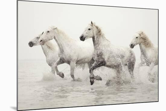 Escape-Irene Suchocki-Mounted Giclee Print