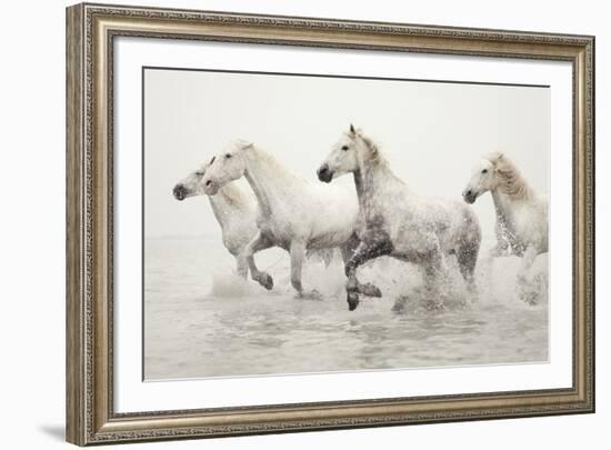 Escape-Irene Suchocki-Framed Giclee Print