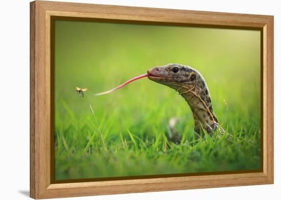 Escape-Shikhei Goh-Framed Premier Image Canvas