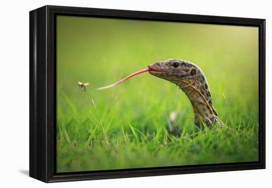 Escape-Shikhei Goh-Framed Premier Image Canvas