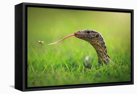 Escape-Shikhei Goh-Framed Premier Image Canvas