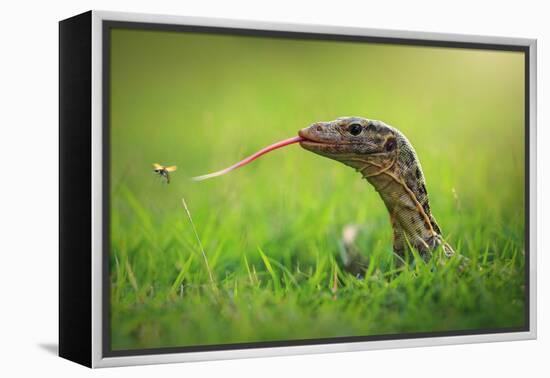 Escape-Shikhei Goh-Framed Premier Image Canvas