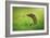 Escape-Shikhei Goh-Framed Photographic Print