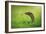 Escape-Shikhei Goh-Framed Photographic Print