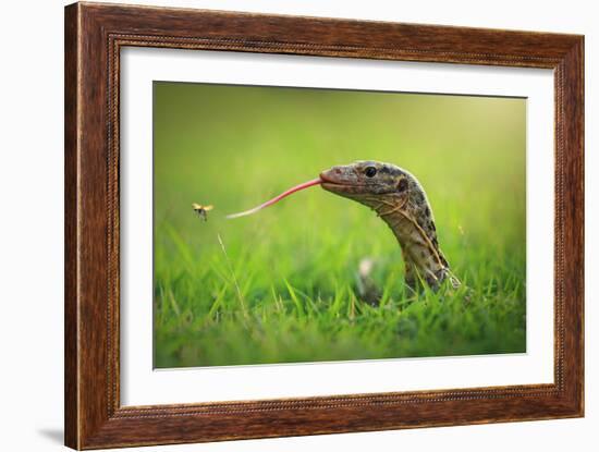 Escape-Shikhei Goh-Framed Photographic Print