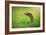 Escape-Shikhei Goh-Framed Photographic Print