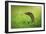 Escape-Shikhei Goh-Framed Photographic Print