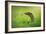 Escape-Shikhei Goh-Framed Photographic Print