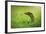 Escape-Shikhei Goh-Framed Photographic Print