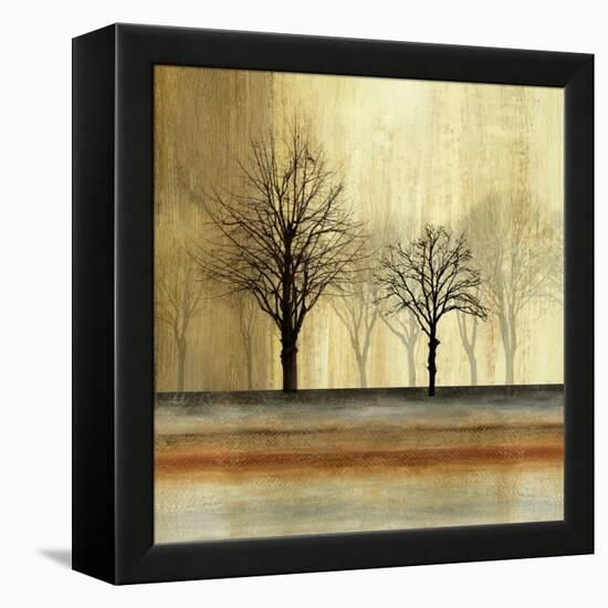 Escape-Andrew Michaels-Framed Stretched Canvas