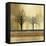 Escape-Andrew Michaels-Framed Stretched Canvas