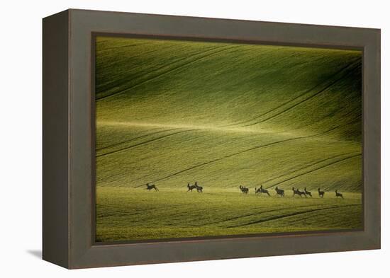 Escape-Marcin Sobas-Framed Premier Image Canvas