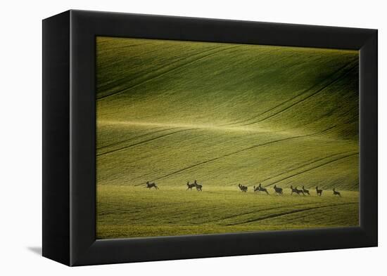 Escape-Marcin Sobas-Framed Premier Image Canvas