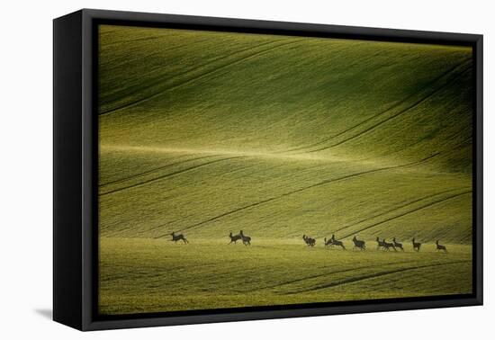 Escape-Marcin Sobas-Framed Premier Image Canvas