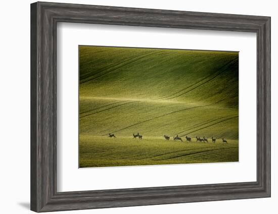 Escape-Marcin Sobas-Framed Photographic Print