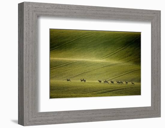 Escape-Marcin Sobas-Framed Photographic Print