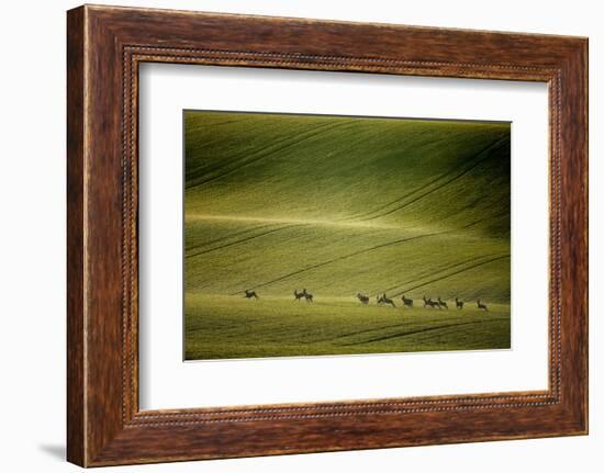 Escape-Marcin Sobas-Framed Photographic Print