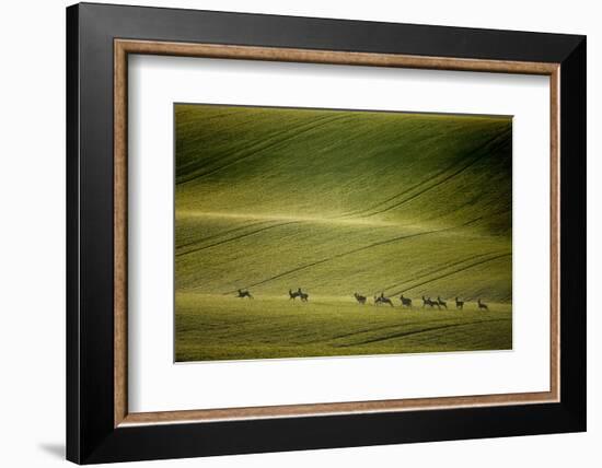 Escape-Marcin Sobas-Framed Photographic Print