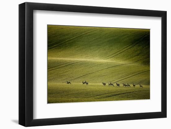 Escape-Marcin Sobas-Framed Photographic Print