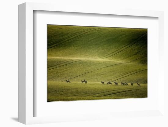 Escape-Marcin Sobas-Framed Photographic Print