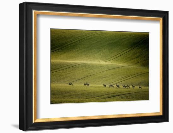 Escape-Marcin Sobas-Framed Photographic Print