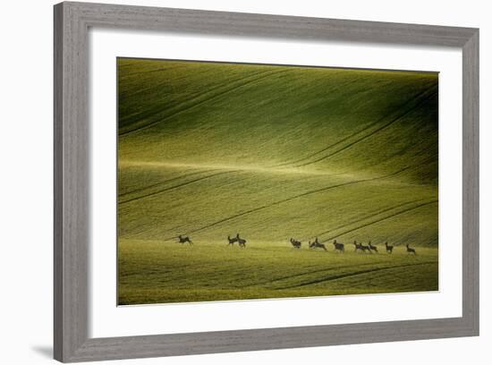 Escape-Marcin Sobas-Framed Photographic Print