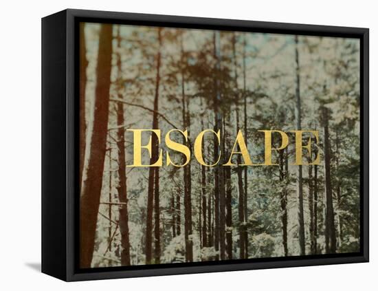 Escape-Leah Flores-Framed Premier Image Canvas