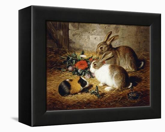 Escaped: Two Rabbits and Guinea Pig-Alfred R. Barber-Framed Premier Image Canvas
