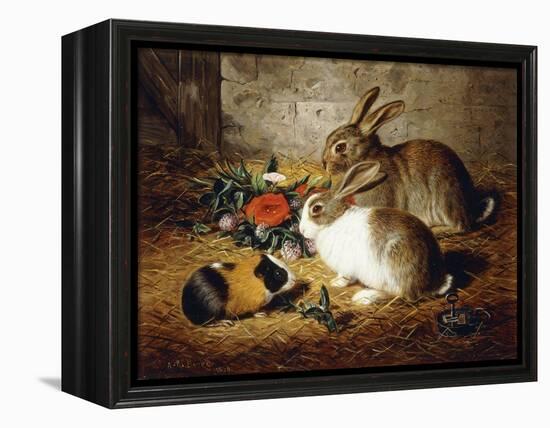 Escaped: Two Rabbits and Guinea Pig-Alfred R. Barber-Framed Premier Image Canvas