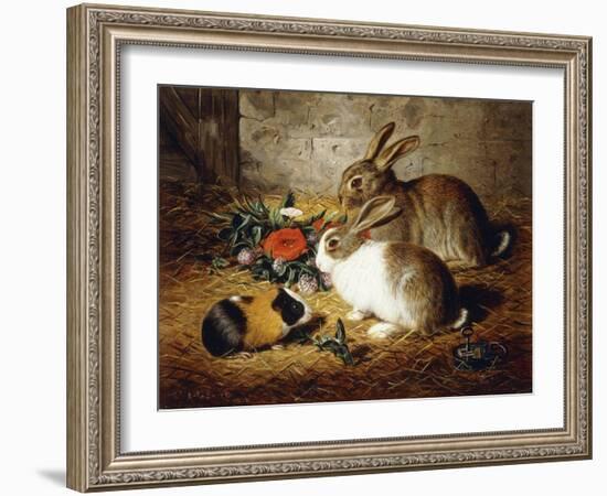 Escaped: Two Rabbits and Guinea Pig-Alfred R. Barber-Framed Giclee Print