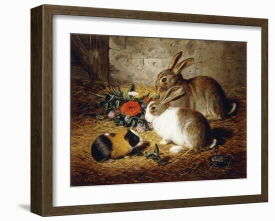 Escaped: Two Rabbits and Guinea Pig-Alfred R. Barber-Framed Giclee Print