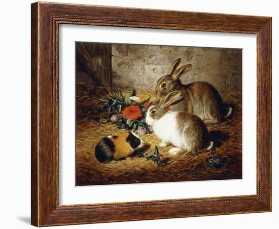 Escaped: Two Rabbits and Guinea Pig-Alfred R. Barber-Framed Giclee Print