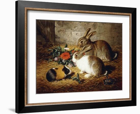 Escaped: Two Rabbits and Guinea Pig-Alfred R. Barber-Framed Giclee Print