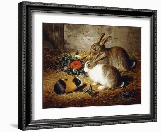 Escaped: Two Rabbits and Guinea Pig-Alfred R. Barber-Framed Giclee Print