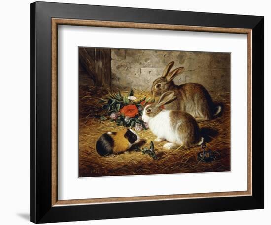 Escaped: Two Rabbits and Guinea Pig-Alfred R. Barber-Framed Giclee Print