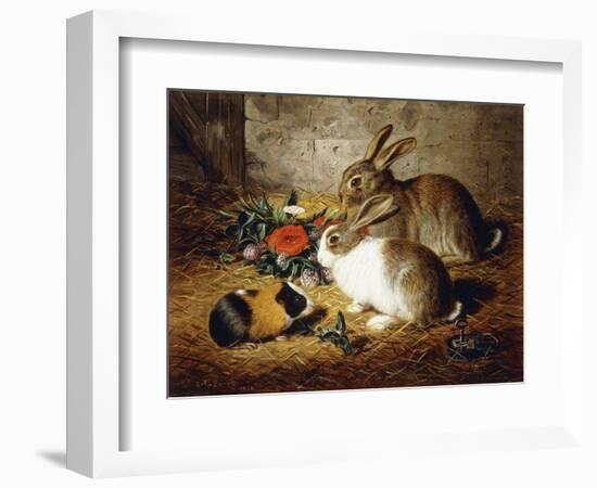 Escaped: Two Rabbits and Guinea Pig-Alfred R. Barber-Framed Premium Giclee Print