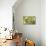 Escargot, Tree Escargot, Flowers-Jurgen Ulmer-Photographic Print displayed on a wall