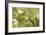 Escargot, Tree Escargot, Flowers-Jurgen Ulmer-Framed Photographic Print