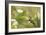 Escargot, Tree Escargot, Flowers-Jurgen Ulmer-Framed Photographic Print