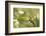 Escargot, Tree Escargot, Flowers-Jurgen Ulmer-Framed Photographic Print