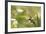 Escargot, Tree Escargot, Flowers-Jurgen Ulmer-Framed Photographic Print