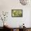 Escargot, Tree Escargot, Flowers-Jurgen Ulmer-Framed Premier Image Canvas displayed on a wall